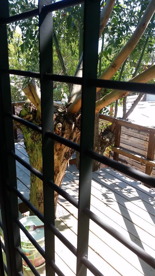 Mi Pesadilla Salinas Home Экстерьер фото