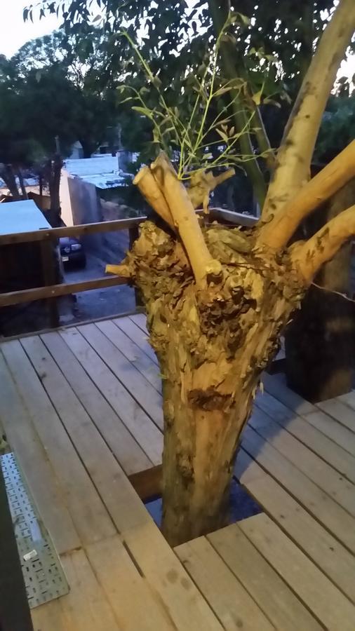 Mi Pesadilla Salinas Home Экстерьер фото